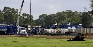 An animal lies near the drilling site where at least 18 cows died Tuesday evening in a pasture next to a Chesapeake Energy Corp. drilling site in Caddo Parish.