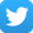 twitter-icon-small
