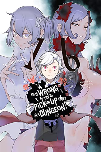 Is It Wrong to Try to Pick Up Girls in a Dungeon, Vol. 16 (light novel).jpg