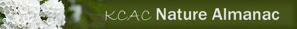 KCAC Nature Almanac