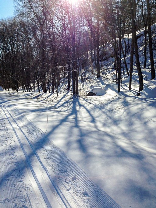 Photo of snowy scene with ski
                            tracks