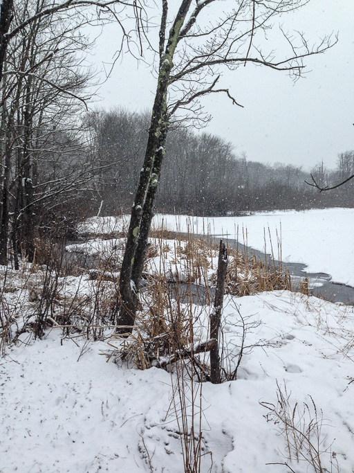 Photo of Canopus
                            Lake with snow coming down 