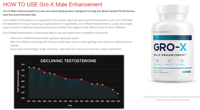 Gro-X Male Enhancement (1).png