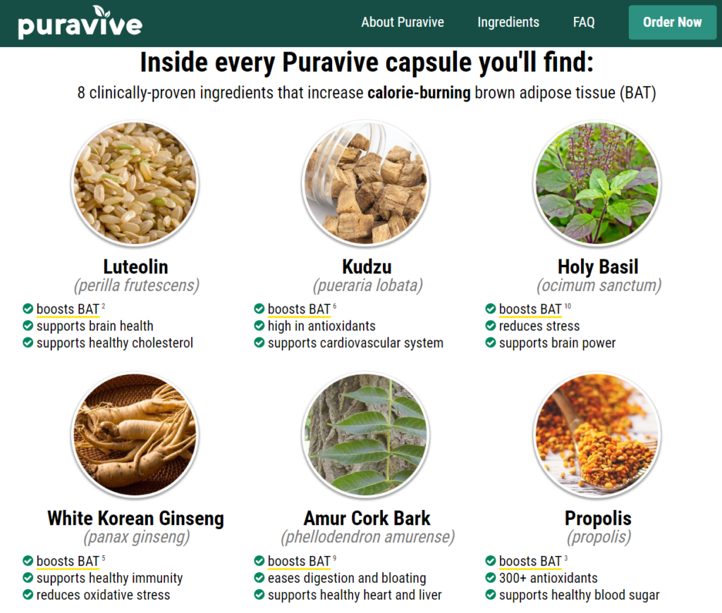 PuraVive-Ingredients-1024x870.png