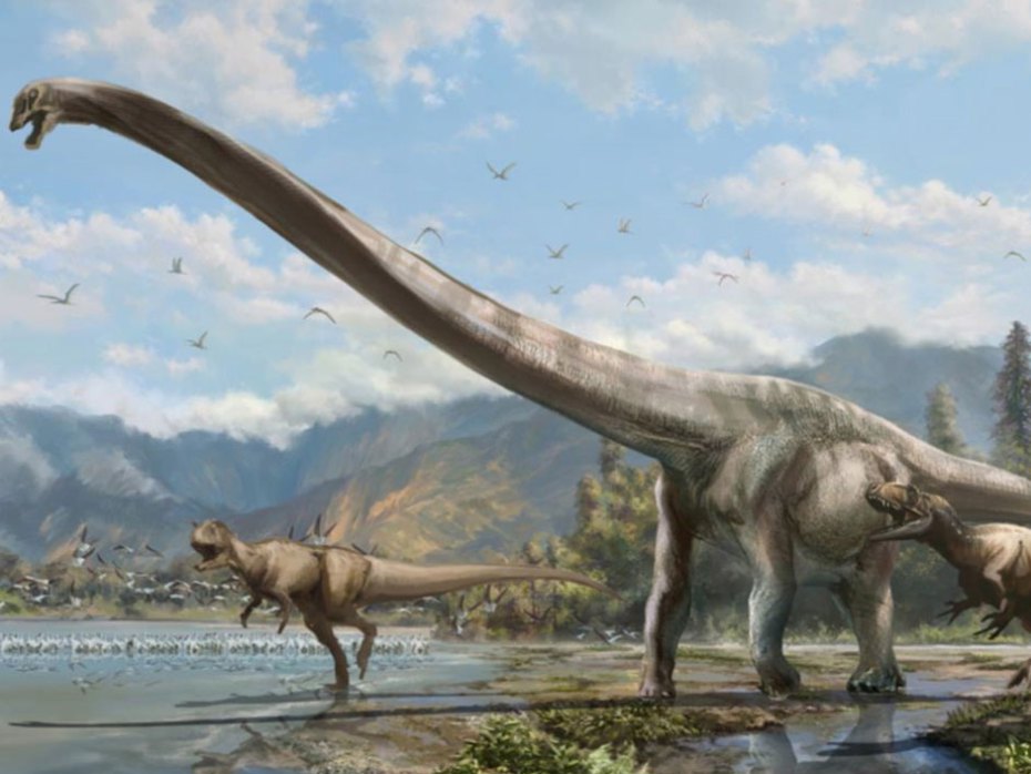 A new species of dinosaur
                      with a neck half the length of its body, shown in
                      this artist's rendition, has been discovered by
                      University of Alberta paleontologists in China. 
