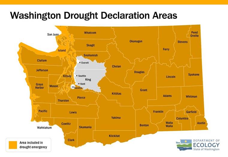 Map of Washingtin with driought declaration areas marked for the entire state except Tacoma, Seattle/King County and Everett.