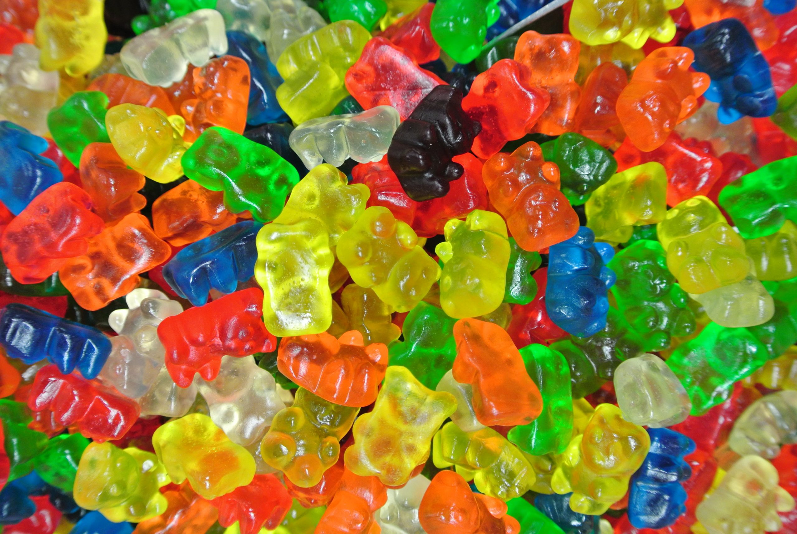Gummy-Bear.jpg
