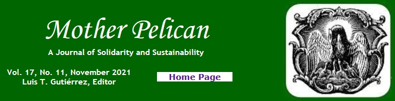 Mother Pelican ~ November 2021