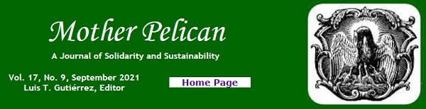  Mother Pelican ~ September 2021