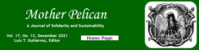 Mother Pelican ~ December 2021