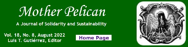 Mother Pelican ~ August 2022