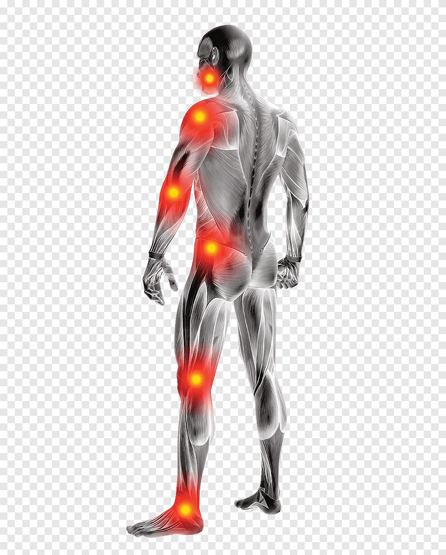png-clipart-human-body-illustration-knee-pain-joint-pain-arthritis-pain-others-fictional-character-pain-management.png