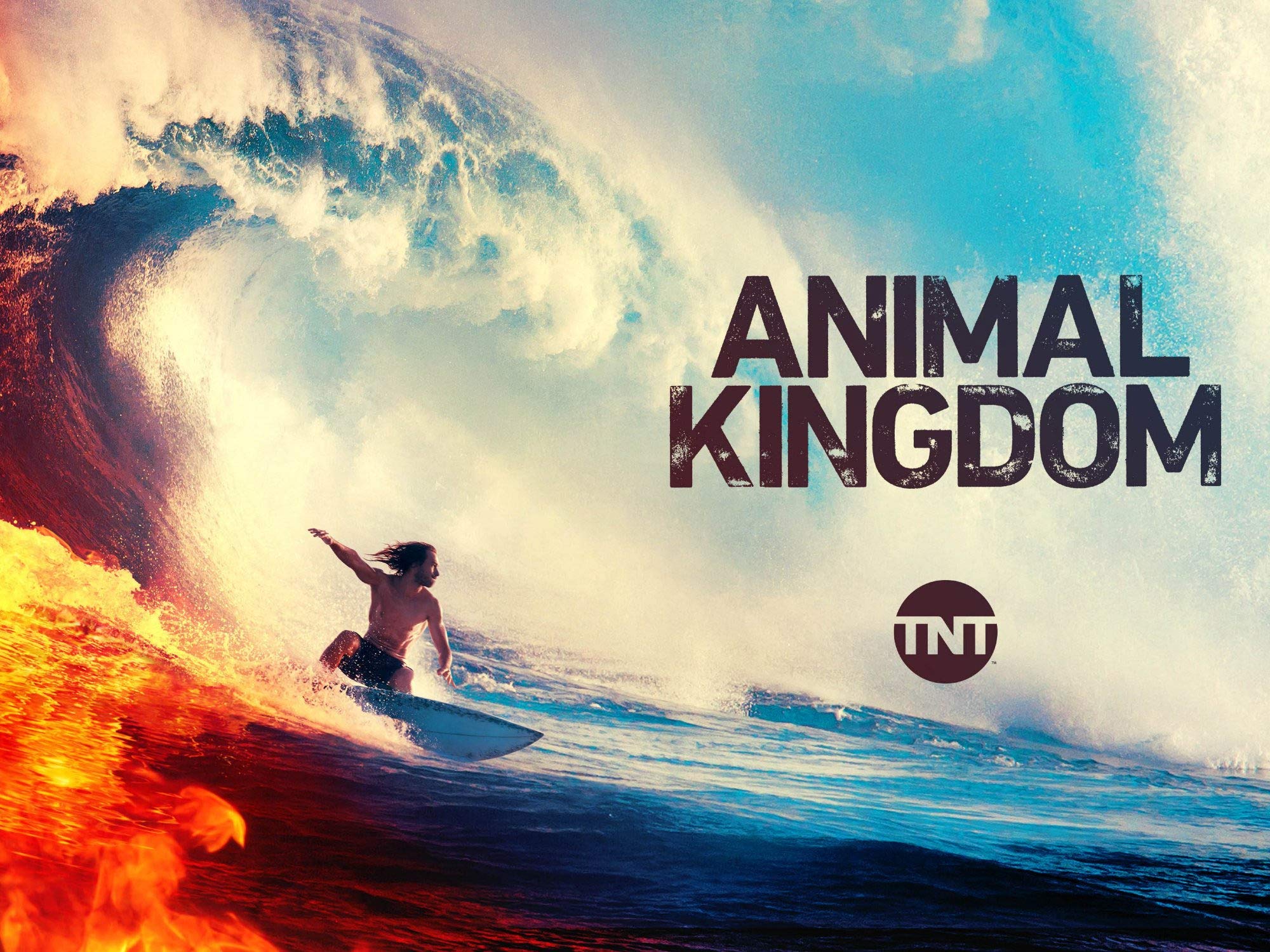 Animal Kingdom 9.jpg