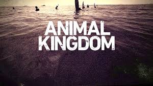 Animal Kingdom 7.jpg