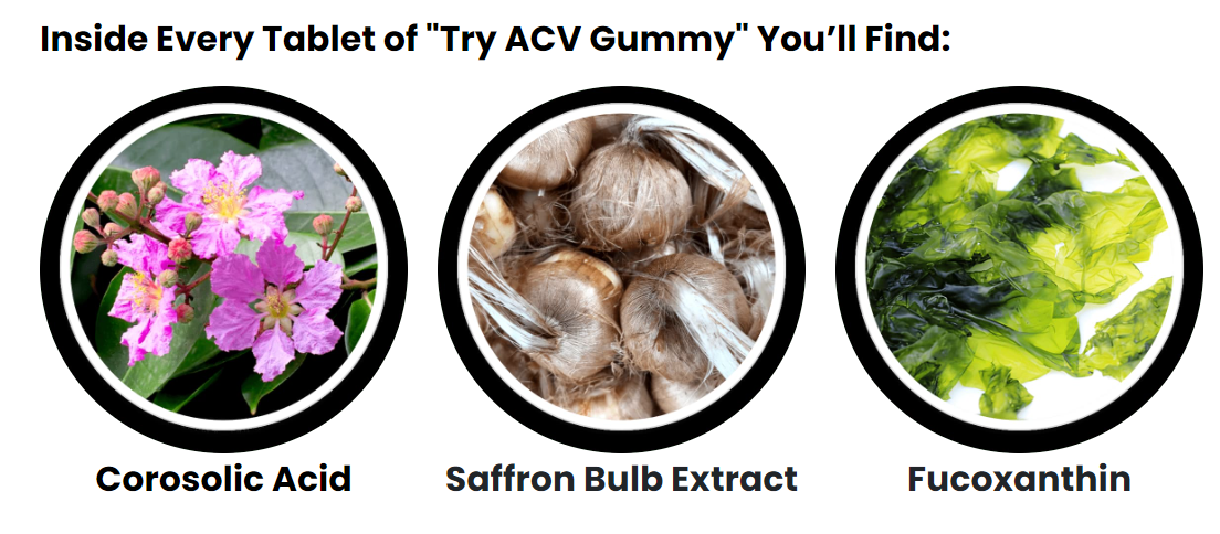 Try ACV Gummy Buy.png