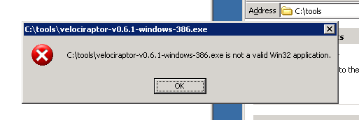 server2003-velociraptor-install-error.png