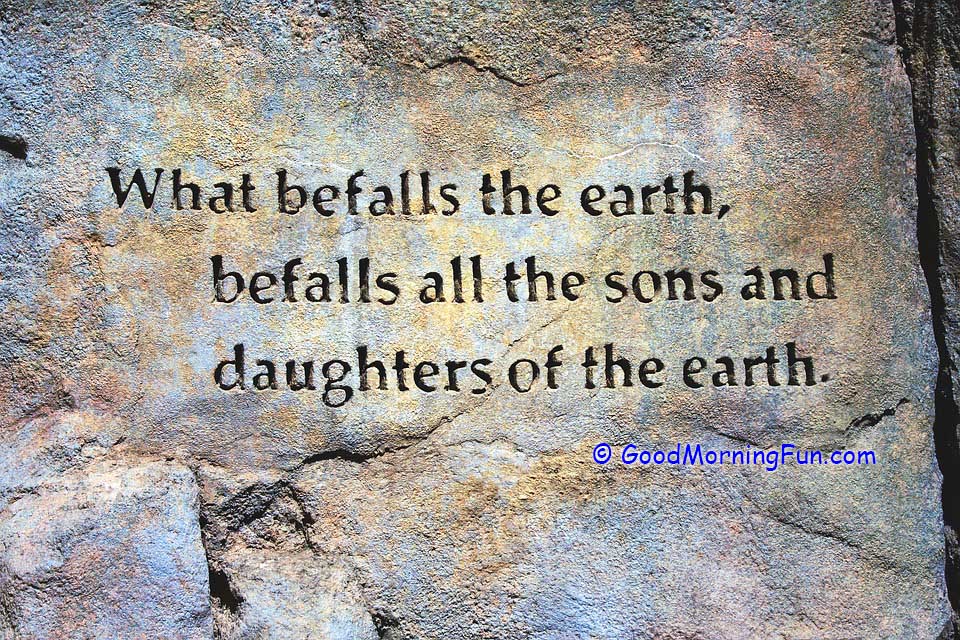 Befall the earth day quote.jpg