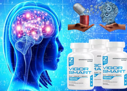 VigorSmart Brain Safe.png