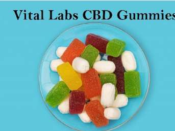 Vita Labs CBD Gummies Scam.png