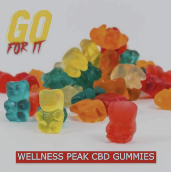 Wellness Peak CBD Gummies.png